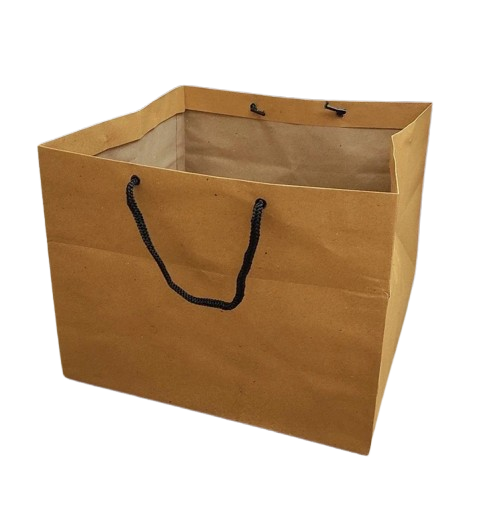 2b 1000x1000 removebg preview